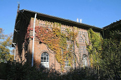 Stadtteile Hamburg - Wein an der Hauswand des Siemers Hof