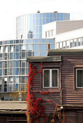 Architekturfotografie aus den Hamburger Stadtteilen - Büroarchitektur mit Glasfassade - Holzgebäude mit Wein bewachsen - Bilder aus Hamburg Alsterdorf.