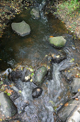 Fliessendes Wasser der Mellingbek - Steine im Bachlauf.