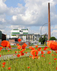 Blühender Mohn auf einer Wiese in Hamburg Wilhelmsburg - Fabrikschornstein und  Silogebäude.