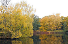 Grosser Bramfelder See herbstliche Bäume am Seeufer von Bramfeld