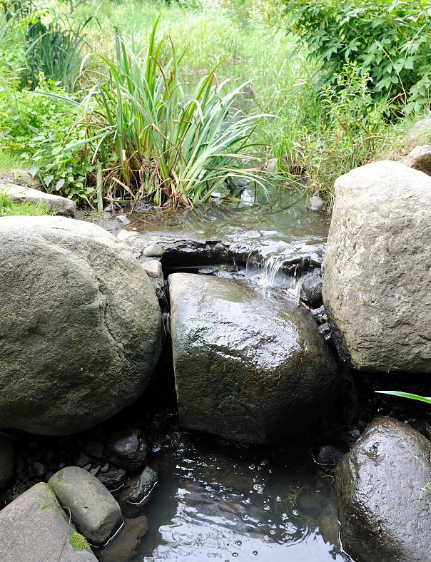 bildarchiv-hamburg.com: Foto „Bachlauf - kleiner Wasserfall mit