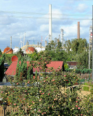 Kleingarten in Hamburg Heimfeld - Bostelbek Am Radeland - Schreberlauben und Apfelbäume mit Früchten - im Hintergrund Industrieanlagen und Schornsteine der Raffinerie in Harburg.