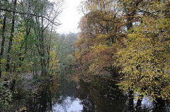 Hummelsbüttel am Alsterlauf Herbstbäume am Ufer der Alster.