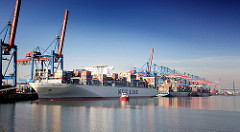 Blick zum HHLA Container Terminal Altenwerder - Containerschiffe liegen am Kai.