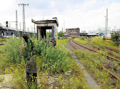 Wildkraut / Unkraut zwischen den Gleisen der Hamburger Hafenbahn - Bahngleise bei der Versmannstrasse in der Hafencity Hamburg.