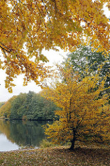 Prächtige Herbstbilder mit Herbstlaub vom See im Stadtteil Hamburg Bramfeld