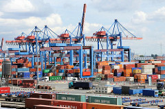 Blick über das Container Terminal Altenwerder - im Vordergrund die beladenen Güterzüge  und hinter den Portalkränen und dem Containerlager die Containerbrücken am Ballinkai.