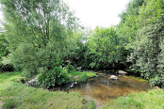 Lauf der Tarpenbek im Hamburger Stadtteil Niendorf - Wiese und Bäume am Ufer des Baches.
