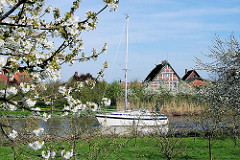 Kirschblüte im Alten Land - Sportboot auf der Este bei HH-Cranz.
