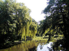Lauf des Flusses Wandse durch den Hamburger Stadtteil Wandsbek - Bäume stehen am Ufer des Flusses.