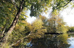 Herbstbäume am Rodenbeker Teich in Hamburg Bergstedt