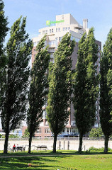 Zwischen hohen Pappeln sind Ruhebänke für die BesucherInnen des Elbparks in Hamburg Rothenburgsort aufgestellt. Hinter den Bäumen das Hochhaus des Hotels HolidyInn.
