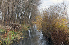 Entwässerungsgraben - Wiese und Bäume am wulfsgraben.