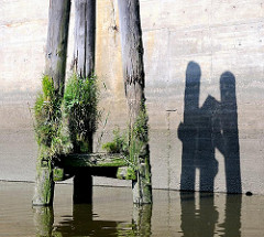 Alte mit Grünpflanzen bewachsene Holzdalben an der Norderelbe bei der Einfahrt zum Haken und dem Billhafen.