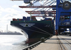 - Containerfrachter HYUNDAI FORCE Containerterminal Hamburg Altenwerder.