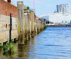 Holzdalben / Streichdalben schützen das Mauerwerk eines Speichers  im Hamburger Moldauhafen - die Wasserlinie ist mit Wildkraut bewachsen.
