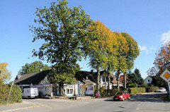 Wohnhäuser und hohe Strassenbäum im Stadtteil Lemsahl Mellingstedt - Diekbarg