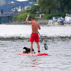 Stand up paddling mit Hund in der Billwerder Bucht von Hamburg Rothenburgsort - im Hintergrund die Norderelbbrücken.