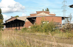 Harburger Güterbahnhof - Lagerschuppen mit Laderampe, Wildkraut / Unkraut. ( 2005)