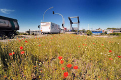 Strassenverkehr bei der Reiherstiegklappbrücke - Lastkraftwagen fahren über die Klappbrücke; rote Mohnblüten auf der Wiese am Strassenrand.