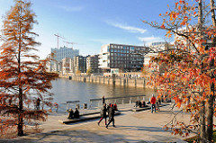 Abendstimmung im Herbst in der Hamburger Hafencity auf der Marco-Polo-Terasse am Grasbrookhafen; re. die moderne Wohnbebauung am Dalmannkai - im Hintergrund die Baustelle der Elbphilharmonie.