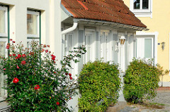 Rosenbüsche / Rosenstock mit roten Rosen an einer Hausfassade in Neustadt / Holstein.