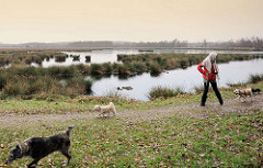 Spaziergänger mit Hunden im Himmelmoor / Quickborn; mit 605 Hektar das Größte Hochmoor in Schleswig-Holstein. Noch findet im Moor Torfabbau statt, aber es wird eine schrittweise Renaturierung betrieben.