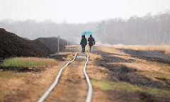 Gleise der Lorenbahn im  Himmelmoor / Quickborn - es findet noch Torfabbau statt; mit 605 Hektar das Größte Hochmoor in Schleswig-Holstein.