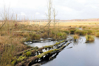 Stadt und Land Fotos: Foto „Stillgelegte Gleise / Brücke der Torfbahn