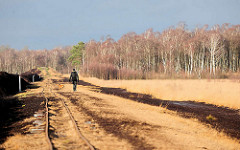 Himmelmoor in Quickborn - auf der 605 Hektar grossen Hochmoorfläche wird teilweise noch Torf abgebaut; Schienen der Lorenbahn, die den Torf zum naheliegenden Torfwerk transportiert; Birkenwald im Winter.