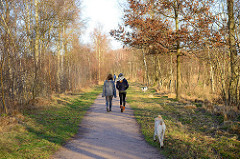 SpaziergängerInnen mit Hunden - Wanderweg im Naturzschutzgebiet Lütt Moor in Henstedt Ulzburg.