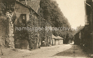 Alte Fotografie von der Bardowieckermauer in Lüneburg - Häuser an der Mauer mit Efeu bewachsen (ca. 1900).