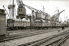 Am Holthusenkai an der Norderelbe verstauen Hafenarbeiter Papierholz in offene Bahnwaggons der Baureihe BRESLAU. Im Freiladeverkehr wurden die verschiedensten Massengüter vom Schiff direkt auf die Bahn umgeschlagen.