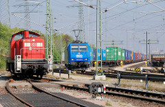 Diesellok / Lokomotive 295 100-2 auf dem Güterbahnhof Alte Süderelbe - im Hintergrund Waggons mit Containerladung und eine Lokomotive der LTH Transportlogistik 185 522-0