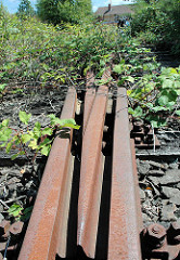 Stillgelegte Eisenbahngleise / mit Brombeerranken überwucherte Weiche in Hamburg Wilhelmsburg.