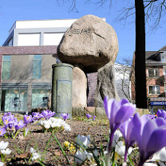 Krokusblüte, Findling als Kriegsdenkmal; Breite Strasse von Buchholz in der Nordheide.