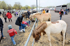 Angebundene Pferde auf dem Ochsenmarkt in Wedel -  BesucherInnen mit Kindern bei den Tieren.