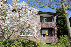 Wohnhaus der Theodor-Johannsen-Siedlung in Wedel - blühende Magnolien.