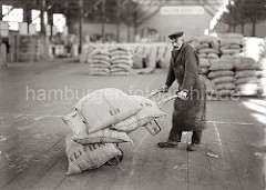 Der Lagerarbeiter hat seine Sackkarre mit vier prall gefüllten Jutesäcke beladen und transportiert seine Ladung im Kaischuppen des Hamburger Hafens. Im Hintergrund ist weiteres Sackgut gelagert. ( ca. 1930 )