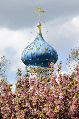 Russisch Orthodoxe Prokopkirche in Hamburg Stellingen - Blaue Kuppel mit goldenen Sternen, goldenes russisch-orthodoxen Kreuz - Zwiebelturm, blühende rosafarbene Japanische Zierkirschen.