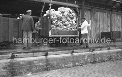 Die zum Schutz verpackten Bananenstauden werden in einer Transportkiste von Bord des Kühlfrachters an Land gehievt. Auf der Kaianlage nehmen Lagerarbeiter die Hieve mit den Bananen in Empfang.