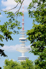 Blick durch die Bäume in Planten un Blomen zum Hamburger Fernsehturm.