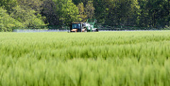 Kornfeld im Wendland - ein Bauer sprüht mit seinem Traktor....