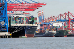 Containerfrachter CMA CGM JULES VERNE im Hamburger Hafen unter den Containerbrücken vom Container Terminal Burchardkai - dahinter legt ein Feederschiff an.