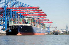 Containerschiff CMA CGM JULES VERNE im Hamburger Hafen unter den Containerbrücken vom Container Terminal Burchardkai - dahinter legt ein Feederschiff an - Köhlbrandbrücke.