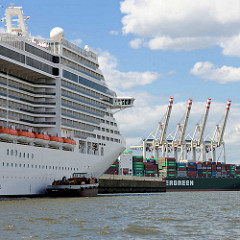 Das Kreuzfahrtschiff MSC Splendida liegt am Kai vom neuen Kreuzfahrtterminal Steinwerder  im Hamburger Hafen. Das Schiff hat eine Länge von 333 m und eine zugelassene Passagierzahl von 3274 sowie eine Besatzung von ca. 1370