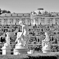 Schloss Sanssouci - Weinberggarten und Skulpturen; Schwarz Weiss Aufnahme.