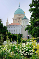 Blick über Blumen und Pflanzen der Freundschaftsinsel zur Kuppel der  Potsdamer Nikolaikirche.