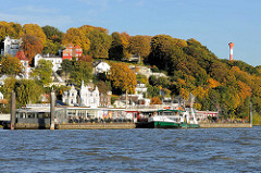 Blick von der Elbe auf den Fähranleger in Hamburg Blankenes - das Fährschiff Altona / Fährverbindung nach Cranz  hat festgemacht - im Hintergrund Wohnhäuser zwischen herbstlich gefärbten bunte Bäumen am Elbhang.